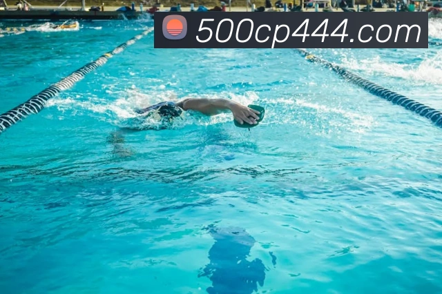 500彩票网平台生态图